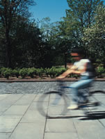 Person riding a bicycle in George Square