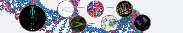 MRC Human Genetics Unit