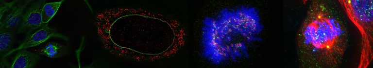 Light Microscopy Core