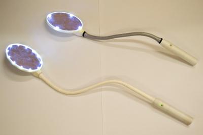EASI Birth Mirror