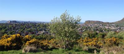 Edinburgh from Blackford Hill