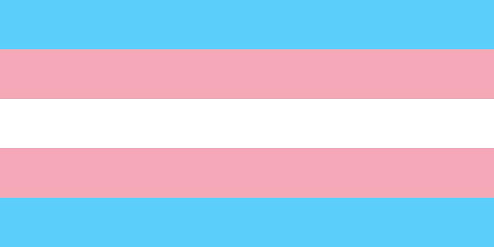 Image of Transgender Pride flag