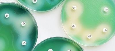 Pseudomonas
