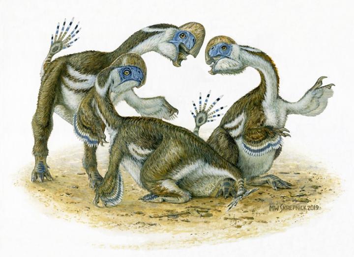 Oksoko avarsan artist's impression