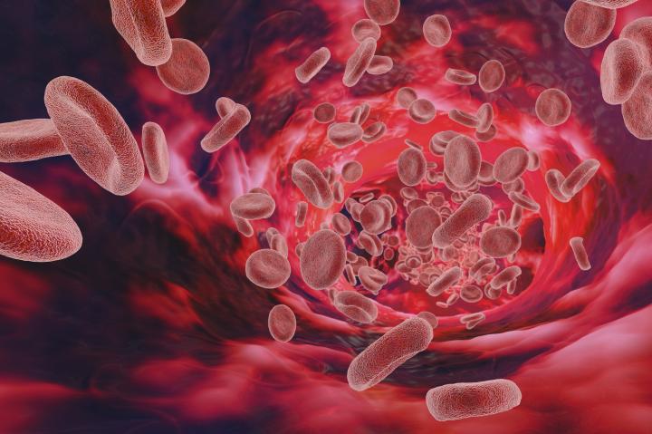 A computer generated image of red blood cells travelling through a blood vessel