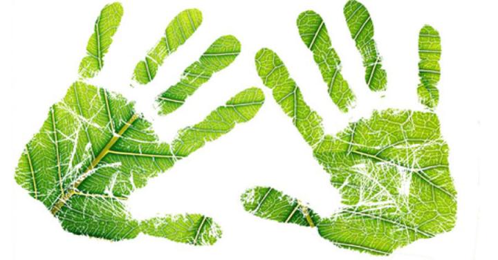 leaves in the shape of hands