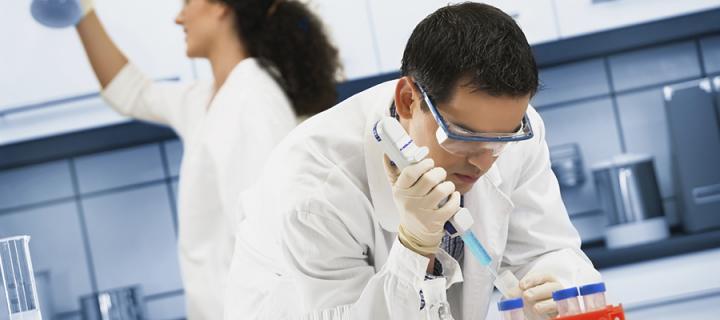 Masters by Research