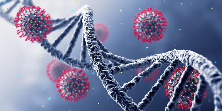 A graphical representation of DNA with coronavirus floating around it