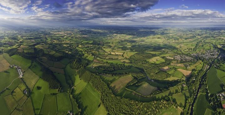 Crop fields