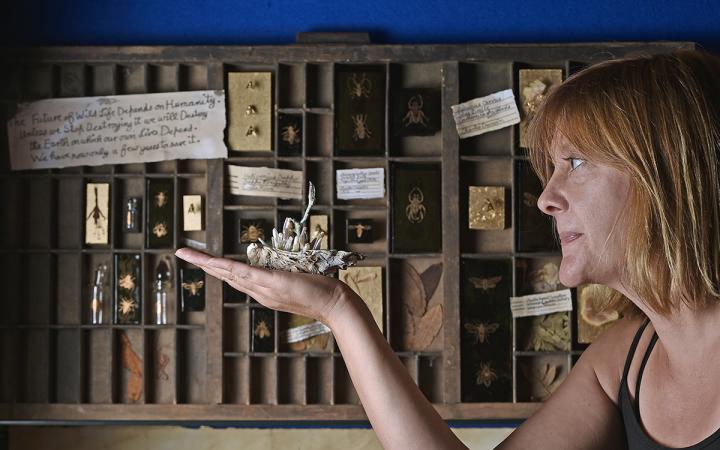 Artist Siobhan Healy at her Biodiversity exhibition at the Edinburgh Art Festival 2018