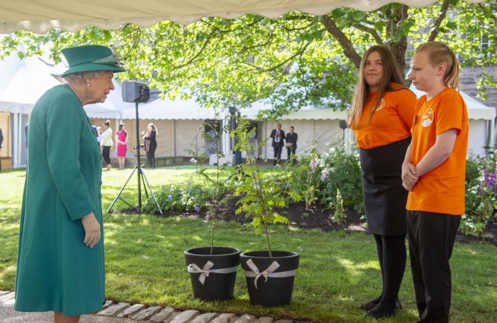 The Queen is presented with trees