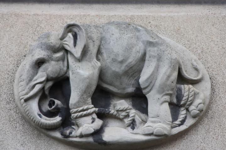 Phyllis Mary Bone elephant
