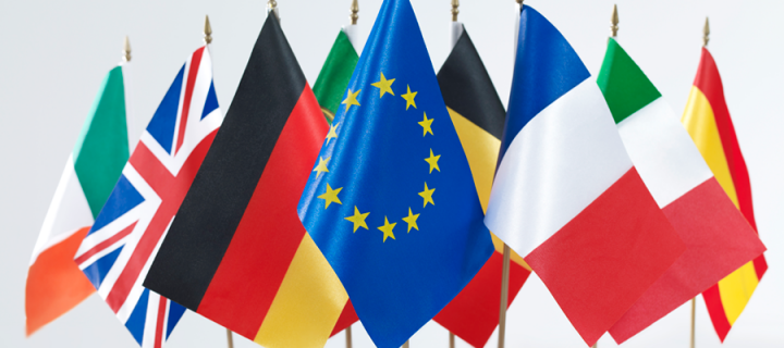 EU flags