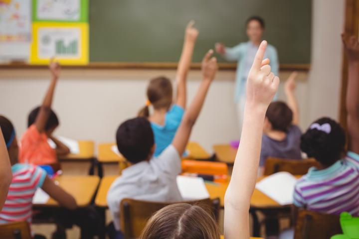 Teachers Pupils