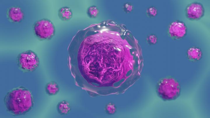 Cells2