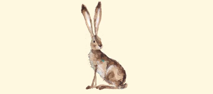 Hilary Hare