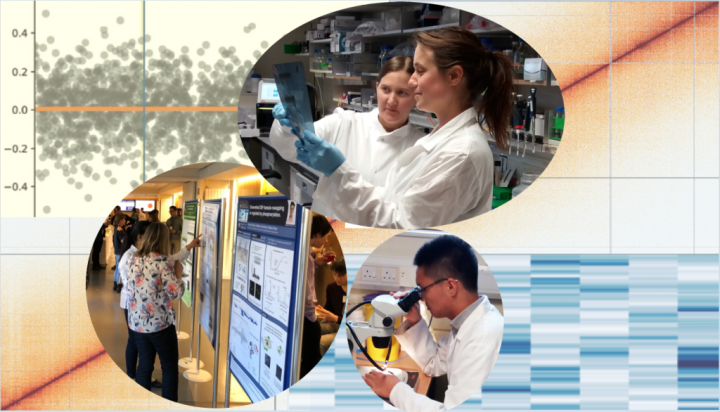 Collage of three images of students at work on the ICM PhD programme.