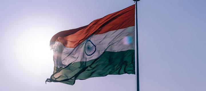 Photo by Igor Ovsyannykov on Unsplash