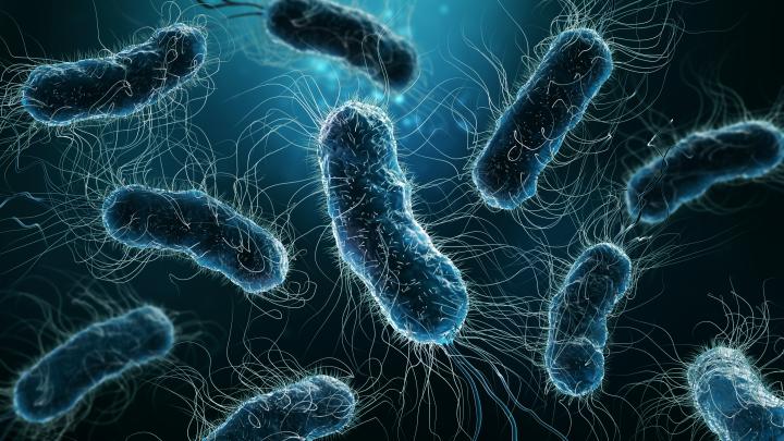 Computer generated image of bacteria