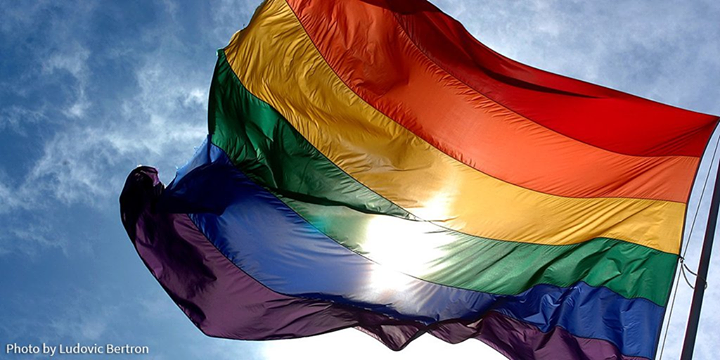 LGBT+ History Month 2019