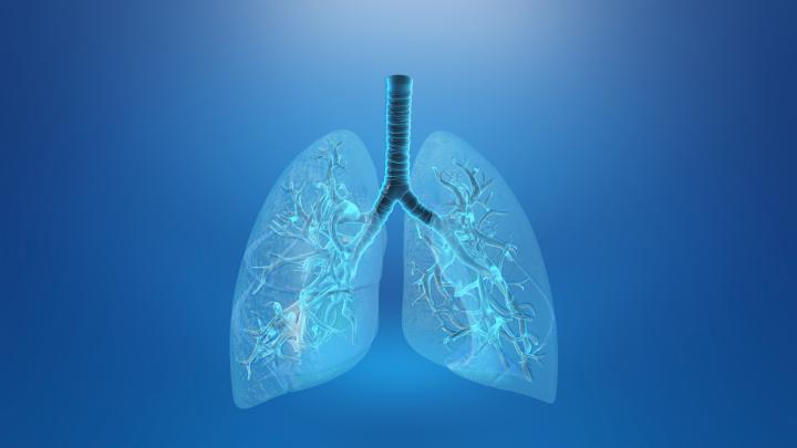 A computer generated image of a pair of lungs