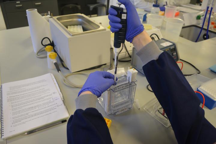 Demonstrator in a practical