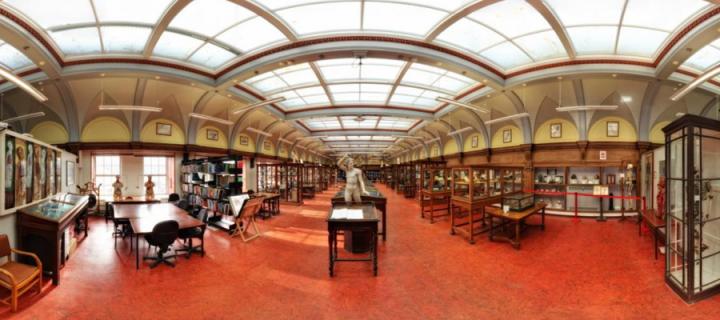 Anatomical Museum