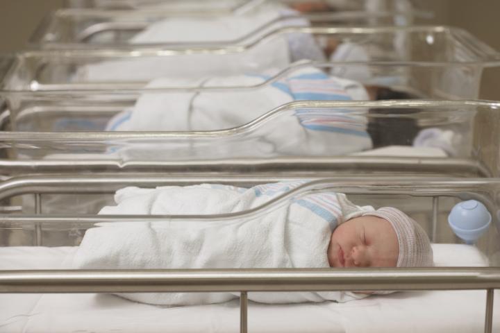 A row of cots of in a hospital containing newborn babies
