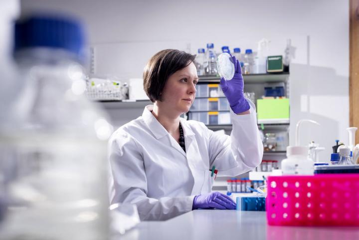 Dr Horsfall examines bacteria in her lab