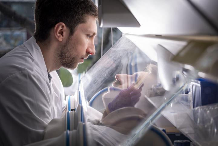 Dr Nick Pantidos examining the anaerobic growth of nanoparticle-synthesising bacteria