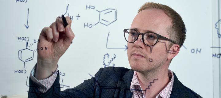 Profesor Stephen Wallace