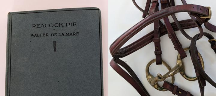 Cover of Peacock Pie by Walter de la Mare and Melanie's snaffle bridle