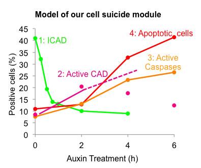Image from Earnshaw paper, Journal Biological Chemistry 2014