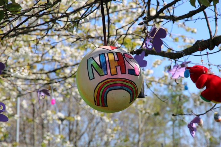 NHS tributes in a tree in Edinburgh