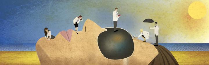 Thomas Shek illustration
