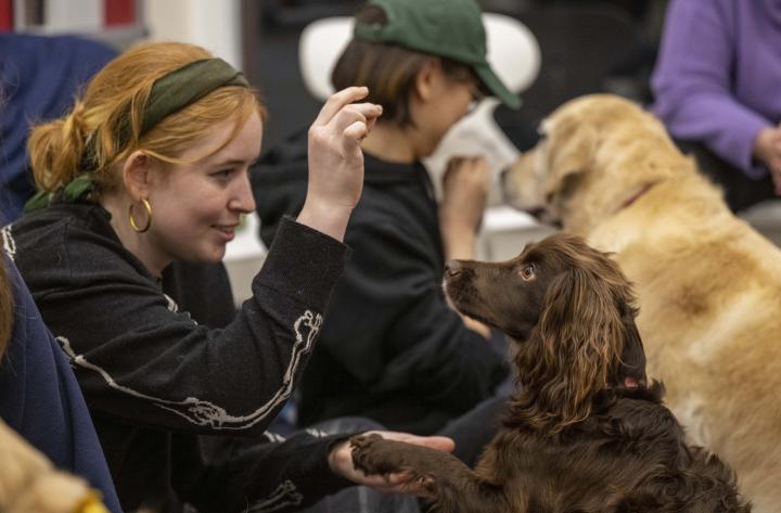 Paws on Campus trial session