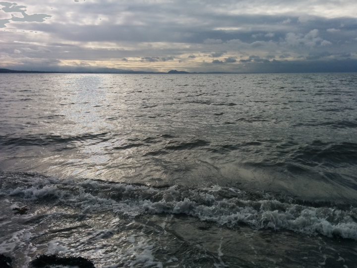 Waves