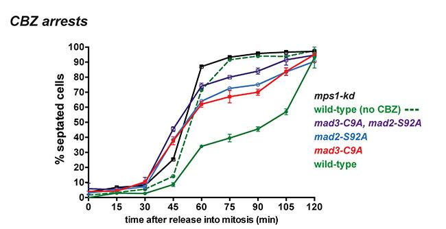 Image from Hardwick paper, PLoS Genetics 2016