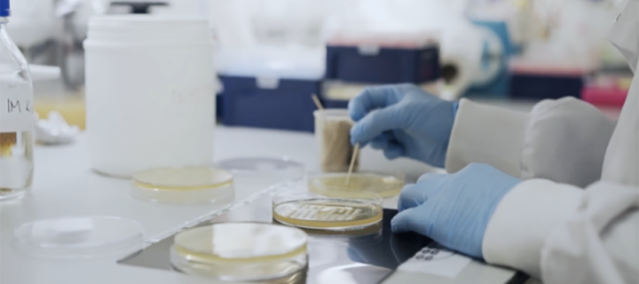 Photo of a lab worker's hands in gloves, working with sample