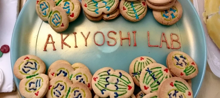 Photo of a plait of cookies decorated with cell patterns on a blue plate with 'Akiyoshi lab' written in icing