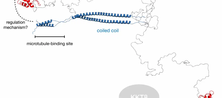 Research illustration from lab paper