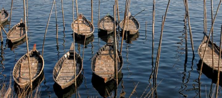 Bangladeshi boats on water