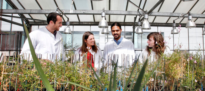 Biological Sciences  Glasshouses provide plant growth facilities. [Paul Dodds]