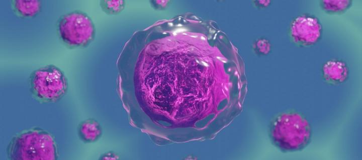 Cells