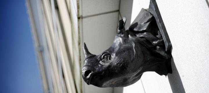 Informatics Forum rhino head