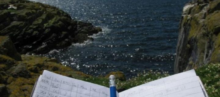 The office view looking out to sea