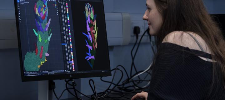 Holly-Anne Turner the first author of the study started this project as a Plant Science Honours student