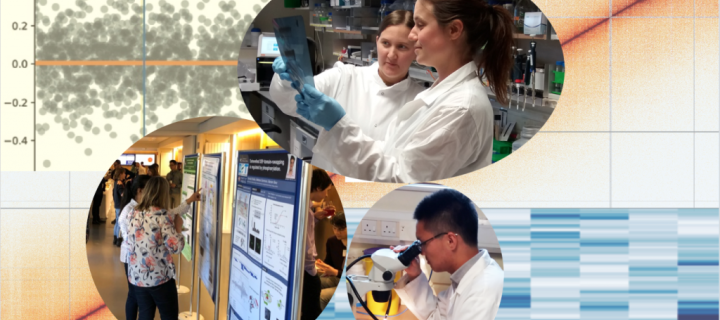 Collage of three images of students at work on the ICM PhD programme.