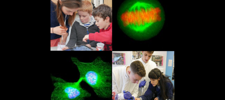 Collage of two cell microscopy images and images of researchers with, students and younger children.