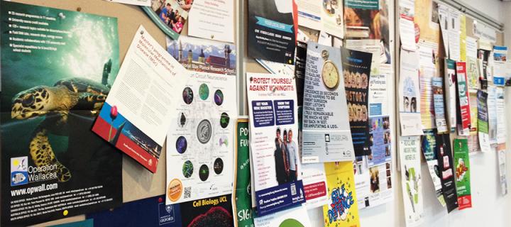 Support staff and resources